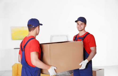 User requesting accessibility support for a removals service